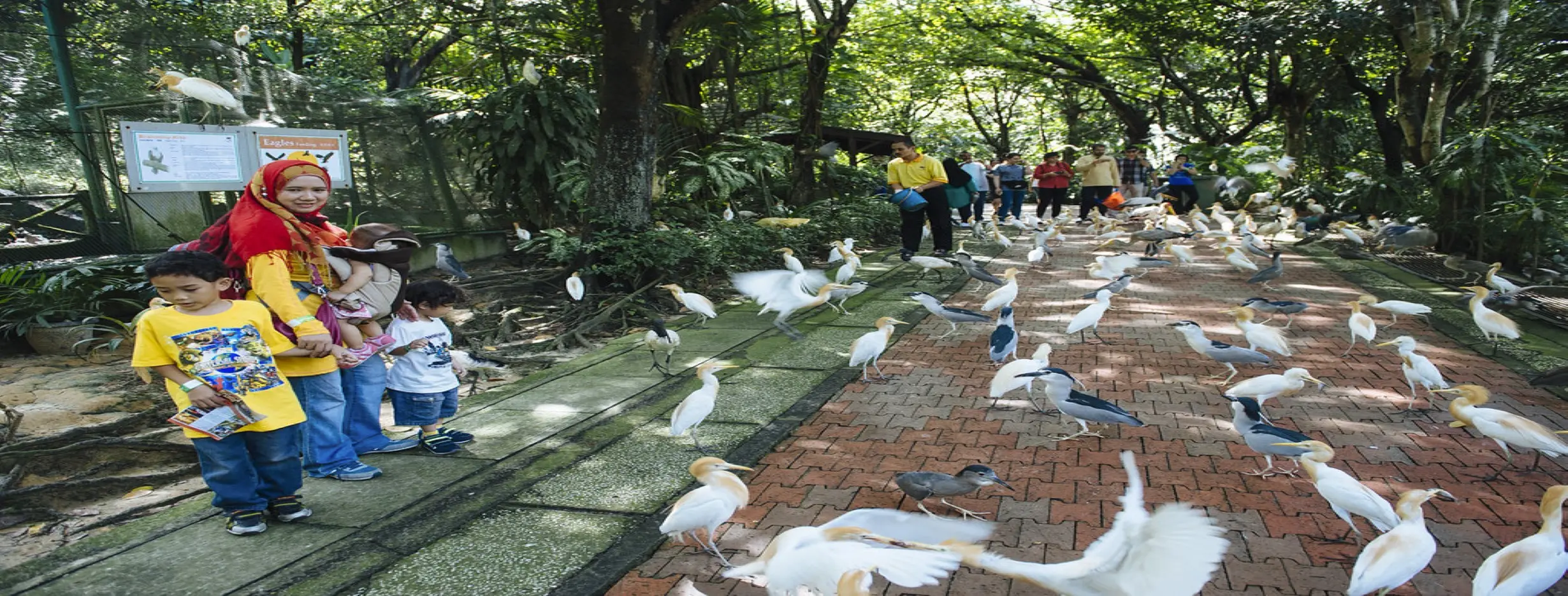 Image for KL Bird Park